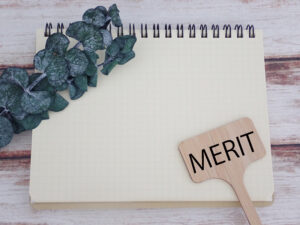 meritと書かれた木ベラとノートと植物